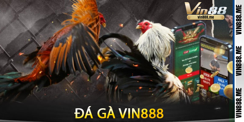 Đá Gà Vin888